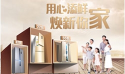 白色家電制冷行業(yè)（冰箱、冷柜）