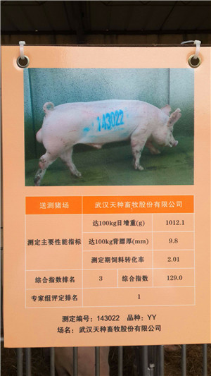 第14屆湖北省種豬拍賣(mài)會(huì)在武漢成功召開(kāi)