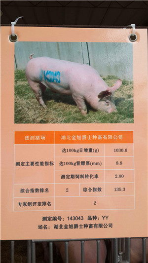 第14屆湖北省種豬拍賣(mài)會(huì)在武漢成功召開(kāi)